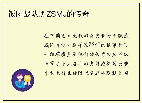 饭团战队黑ZSMJ的传奇